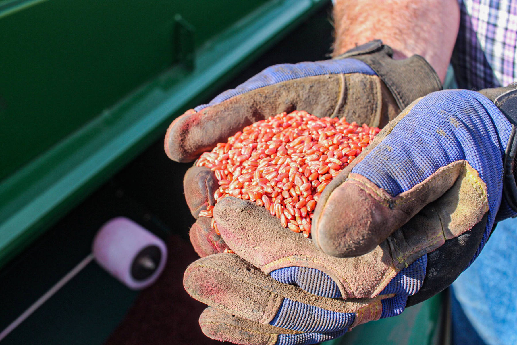 Terralink seed treatment facility